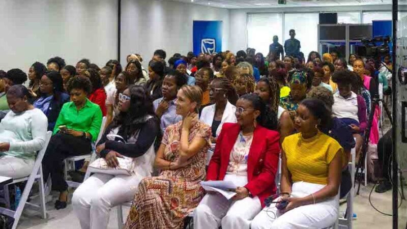 Lioness Lean In Moçambique destaca papel das mulheres na construção de negócios verdes sustentáveis – MozFlash24H